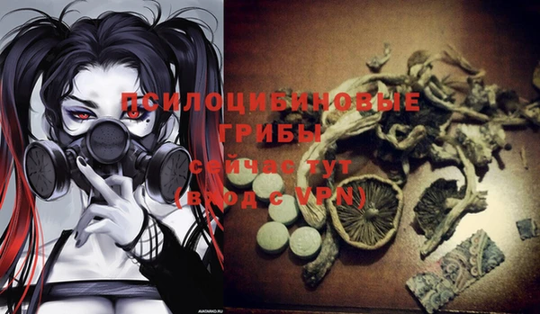 экстази Абинск