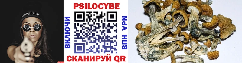 закладка  mega сайт  Галлюциногенные грибы Magic Shrooms  Углегорск 